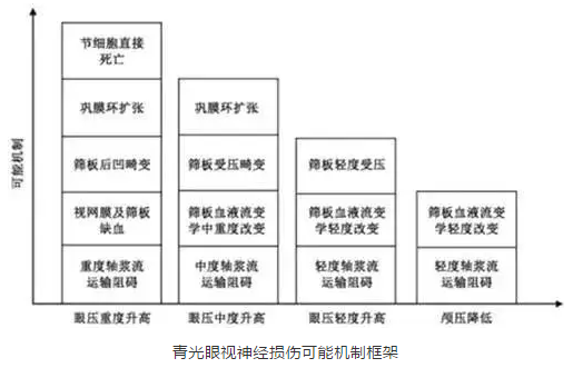 8868体育学术课堂：眼颅压力梯度在青光眼视神经损伤机制中作用2.png